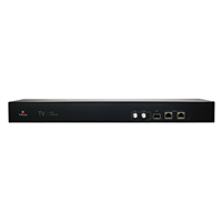 TDmH Mini Headend – IP